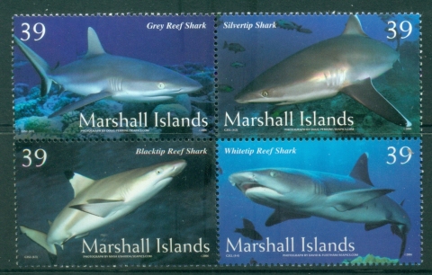 Marshall-Is-2006-Marine-Life-Sharks-MUH