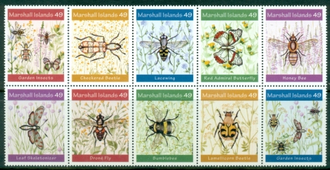 Marshall-Is-2014-Garden-Insects-MUH