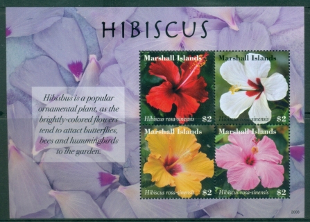 Marshall-Is-2020-Flowers-Hibiscus-MS-MUH