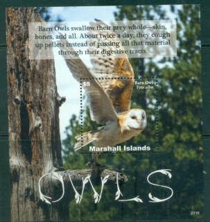 Marshall-Is-2021-Owls-MS-MUH_2