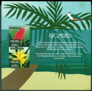 Marshall-Is-2022-Flowers-Bromeliads-MS-MUH_2