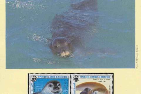 Mauritania 1986 WWF Mediterranean Monk Seal