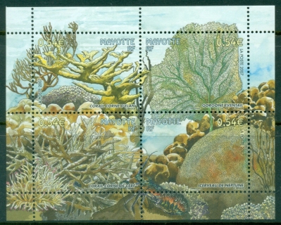 Mayotte-2007-Marine-Life-Corals-MS-MUH