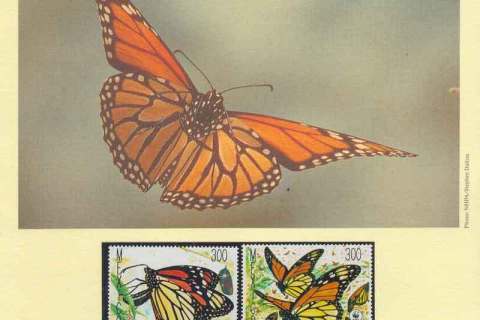 Mexico-1988 Monarch Butterfly