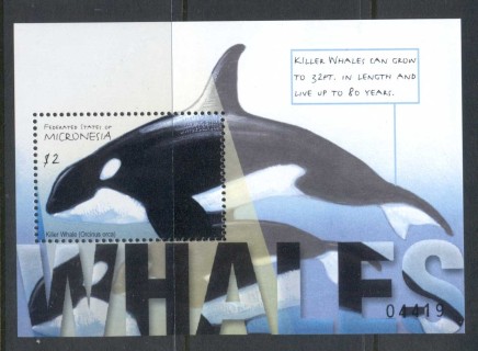 Micronesia-2001-Whales-MS-MUH-2