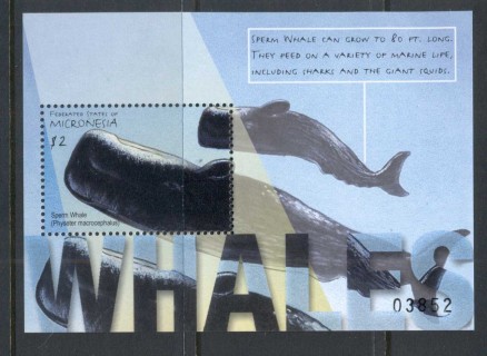 Micronesia-2001-Whales-MS-MUH