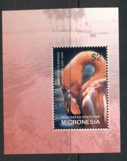 Micronesia-2003-Birds-MS-MUH-2