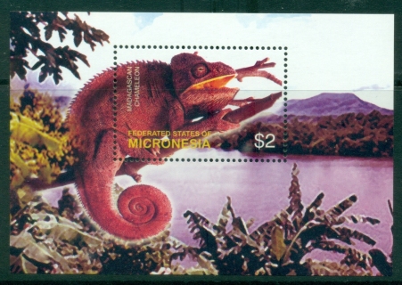 Micronesia-2003-Flora-and-Fauna-Reptiles-and-Amphibians-MS-MUH_2 Micronesia-2003-Flora-and-Fauna-Reptiles-and-Amphibians-MS-MUH_2