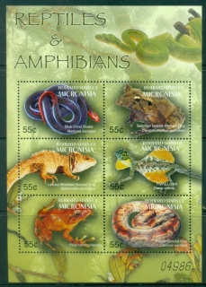 Micronesia-2004-Flora-and-Fauna-Reptiles-and-Amphibians-MS-MUH_1 Micronesia-2004-Flora-and-Fauna-Reptiles-and-Amphibians-MS-MUH_1