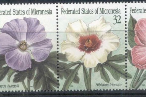 Micronesia-1995-Flowers