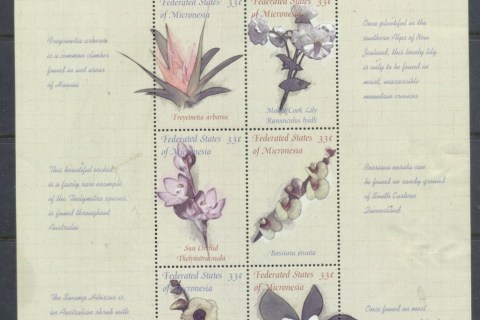 Micronesia-2000-Wildflowers-3