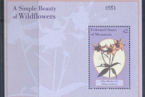 Micronesia-2000-Wildflowers