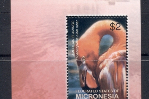 Micronesia-2003-Bird