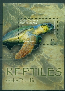 Micronesia-2004-Flora-and-Fauna-Reptiles-and-Amphibians-MS-MUH_2