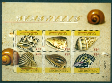 Micronesia-2009-Sea-Shells-MS-MUH