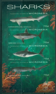 Micronesia-2011-Marine-Life-Sharks-MS-MUH_1