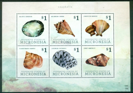 Micronesia-2013-Sea-Shells-MS-MUH_1