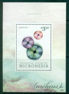 Micronesia-2013-Sea-Shells-MS-MUH_2