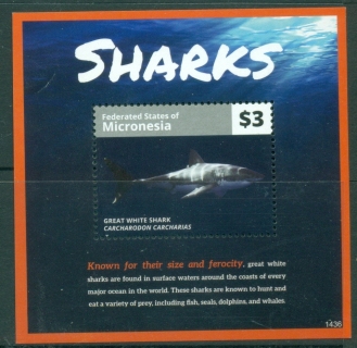 Micronesia-2014-Marine-Life-Sharks-MS-MUH_2