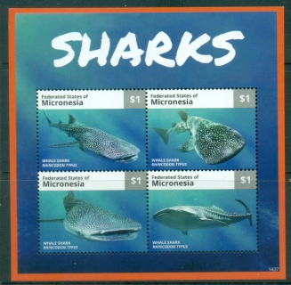 Micronesia-2014-Marine-Life-Sharks-MS-MUH_3