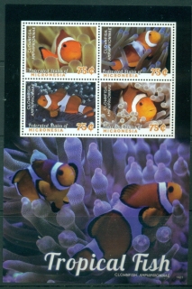 Micronesia-2014-Marine-Life-Tropical-Fish-MS-MUH