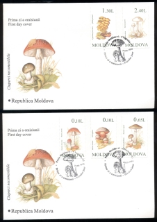 Moldova-1996-Funghi