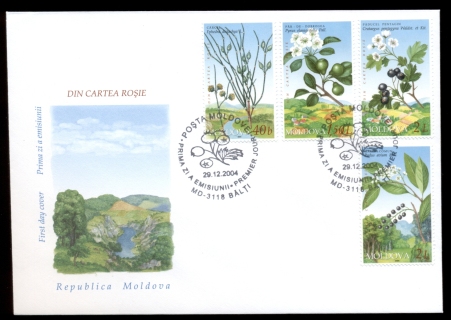 Moldova-2005-Flowering-Bushes-FDC