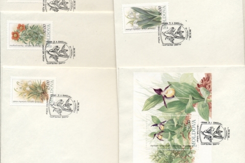 Moldova-1993-Flowers-7x-FDC