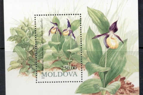 Moldova-1993-Flowers-MS-Muh