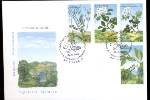 Moldova-2005-Flowering-Bushes-FDC