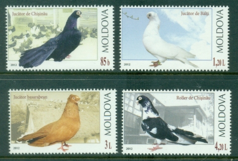 Moldova-2012-Birds-Pigeons-MUH