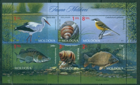 Moldova-2014-Wildlife-MS-MUH