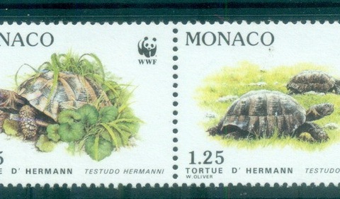 Monaco-1991 WWF Hermann\'s Tortoise