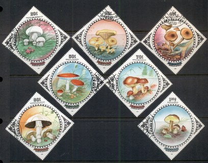 Mongolia-1985-Funghi