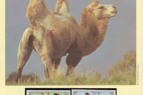 Mongolia-1985 WWF Bactrian Camel
