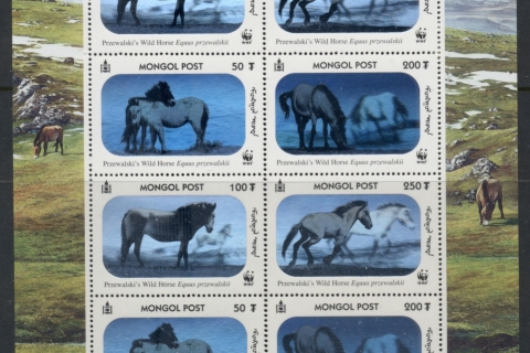 Mongolia-2000-WWF-Prezwalskis-Horse-MS-MUH