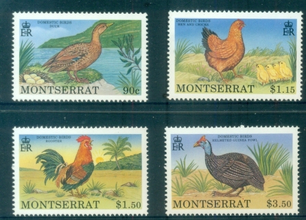 Montserrat-1991-Birds