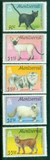 Montserrat-1991-Cats-MUH Montserrat-1991-Cats-MUH