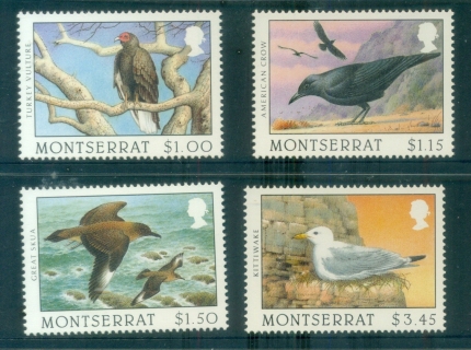 Montserrat-1997-Birds