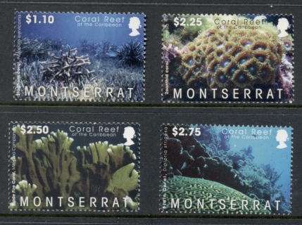 Montserrat-2009-Corals-MUH