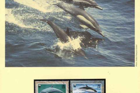 Montserrat-1990 WWF Dolphins