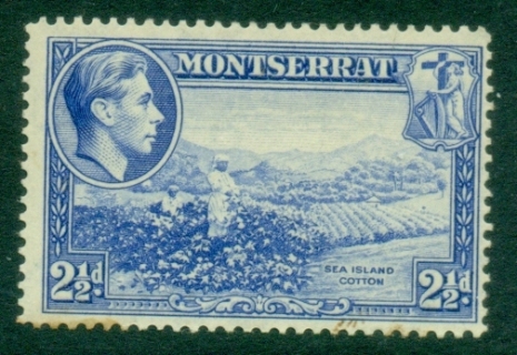 Montserrat-1941-48-KGVI-Pictorial-2½d-Sea-Island-Cotton-MLH