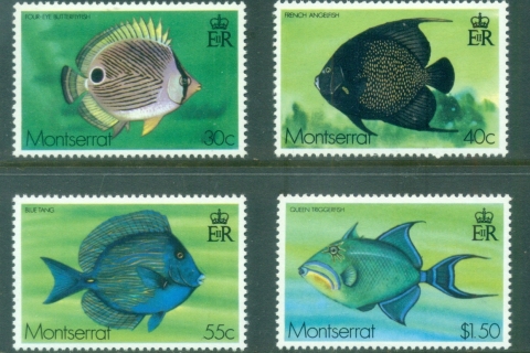Montserrat-1978-Marine-Life