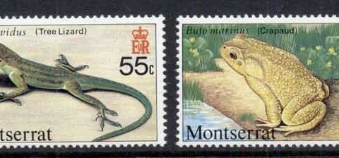 Montserrat-1980-Reptiles
