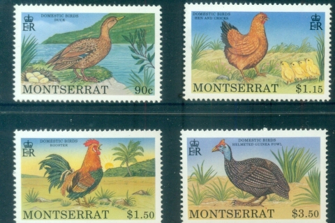 Montserrat-1991-Birds