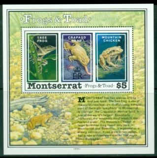 Montserrat-1991-Frogs-Toads-MS-MUH