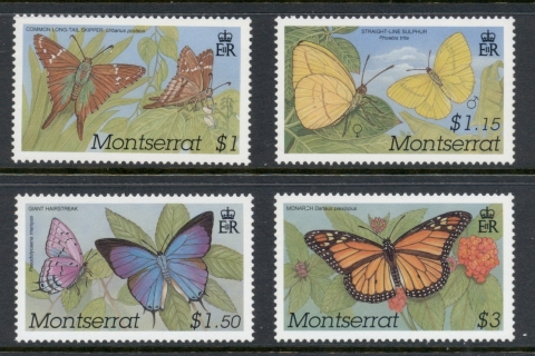 Montserrat-2001-Insects