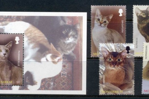 Montserrat-2004-Cat-Breeds-MS-MUH