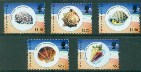 Montserrat-2011-Seashells-MUH