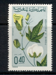 Morocco 1967 Cotton